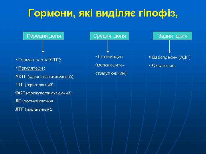 Гормони, які виділяє гіпофіз, Передня доля • Гормон росту (СТГ); • Регуляторні: АКТГ (адренокортикотропний),