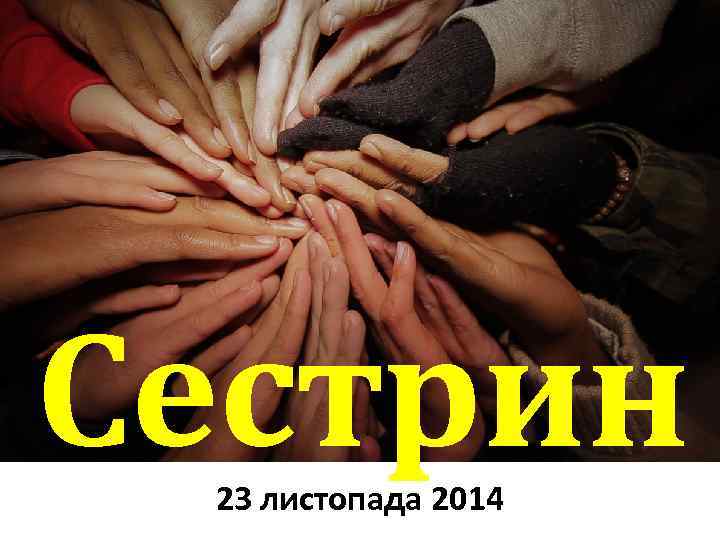 Сестрин 23 листопада 2014 