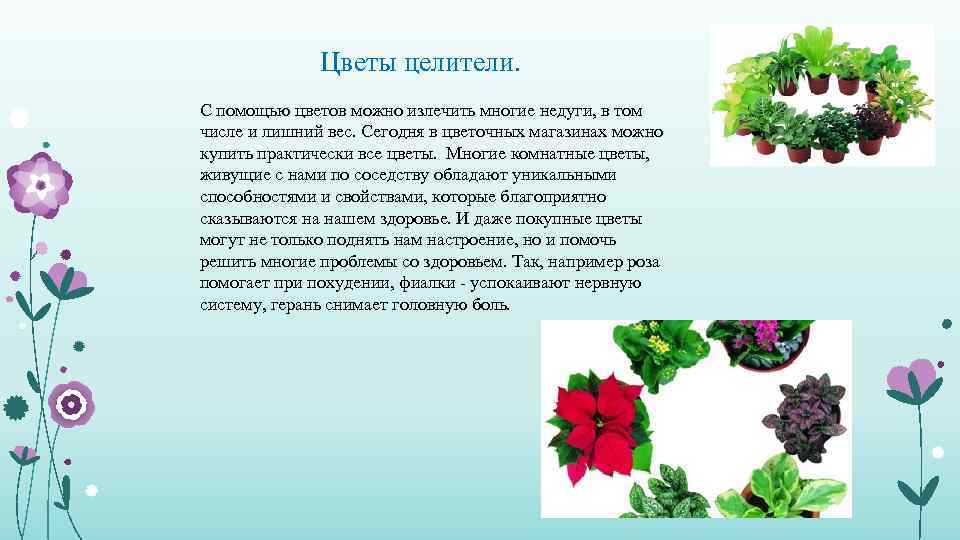 Цветы целители. С помощью цветов можно излечить многие недуги, в том числе и лишний