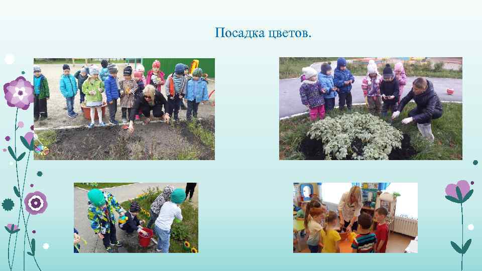 Посадка цветов. 
