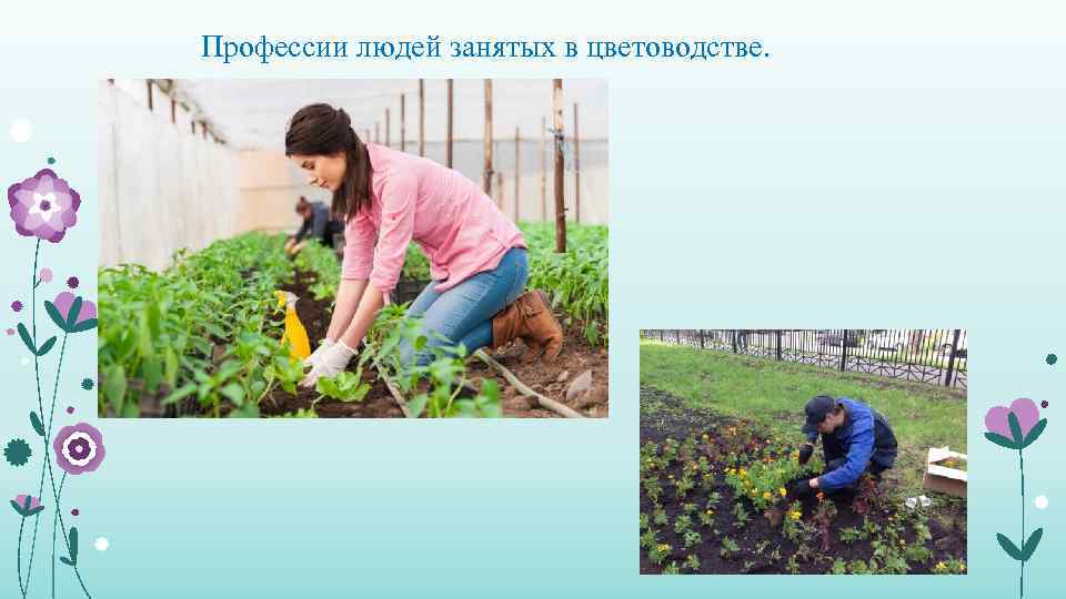 Профессии людей занятых в цветоводстве. 
