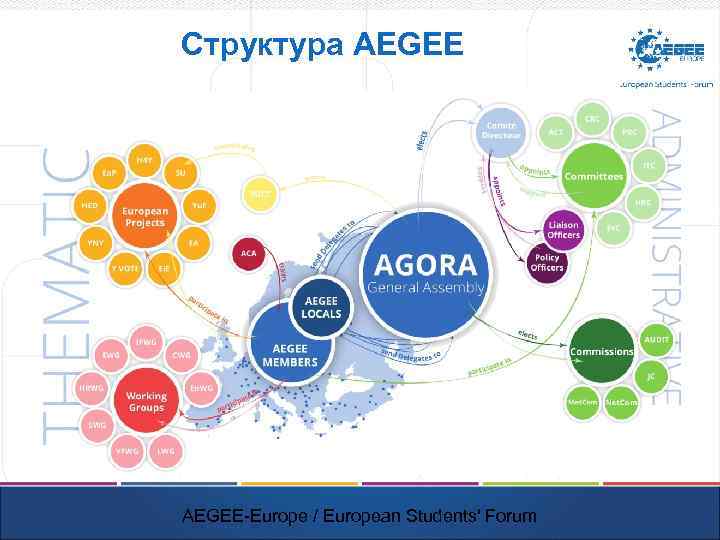 Структура AEGEE-Europe / European Students' Forum 