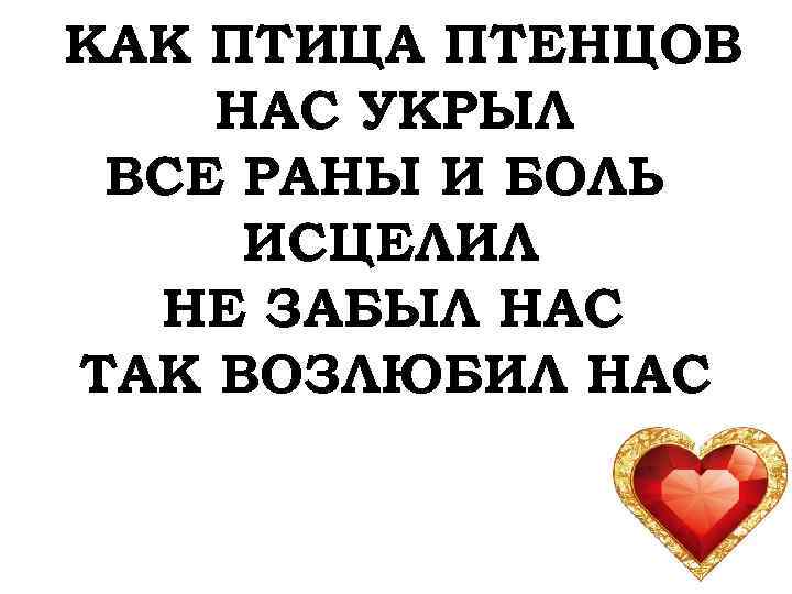КАК ПТИЦА ПТЕНЦОВ НАС УКРЫЛ ВСЕ РАНЫ И БОЛЬ ИСЦЕЛИЛ НЕ ЗАБЫЛ НАС ТАК