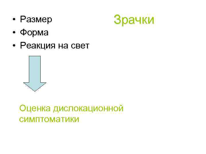  • Размер • Форма • Реакция на свет Зрачки Оценка дислокационной симптоматики 