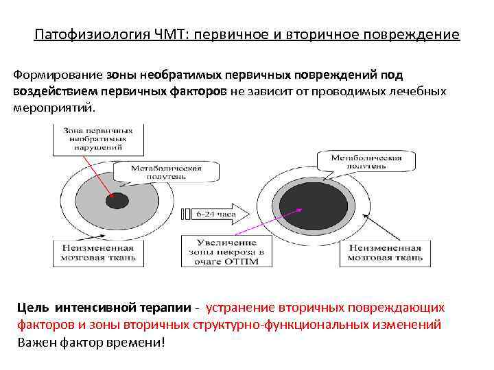 Патофизиология ЧМТ: первичное и вторичное повреждение Формирование зоны необратимых первичных повреждений под воздействием первичных