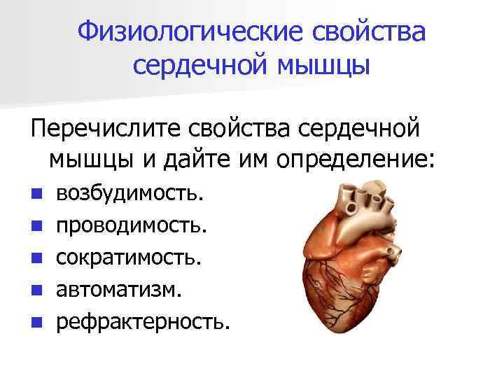 Физиологические свойства сердечной мышцы Перечислите свойства сердечной мышцы и дайте им определение: n n