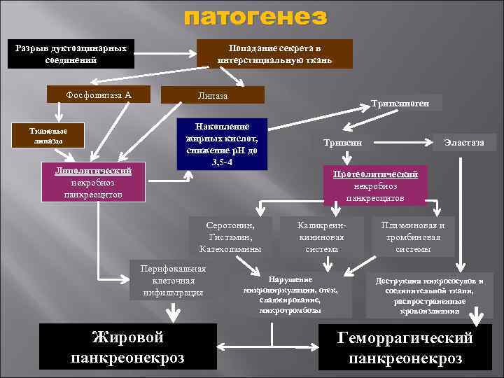 патогенез Разрыв дуктоацинарных соединений Попадание секрета в интерстициальную ткань Фосфолипаза А Липаза Трипсиноген Накопление