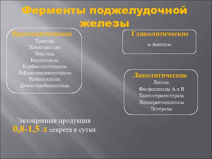 Ферменты поджелудочной железы Протеолитические Трипсин Химотрипсин Эластаза Коллагеназа Карбоксипептидаза Лейцинаминопептидаза Рибонуклеаза Дезоксирибонуклеаза Экзокринная продукция