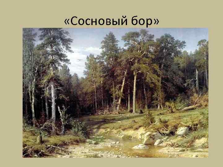  «Сосновый бор» 