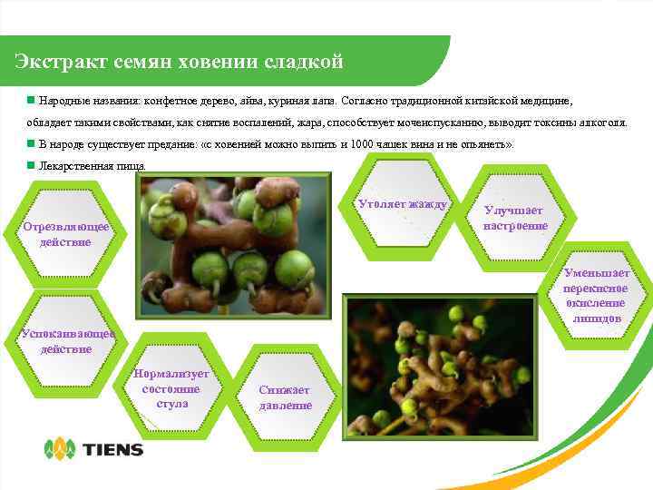 Экстракт семян ховении сладкой n Народные названия: конфетное дерево, айва, куриная лапа. Согласно традиционной