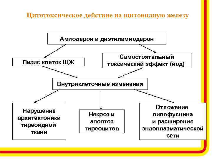 Пропанорм схема восстановления ритма