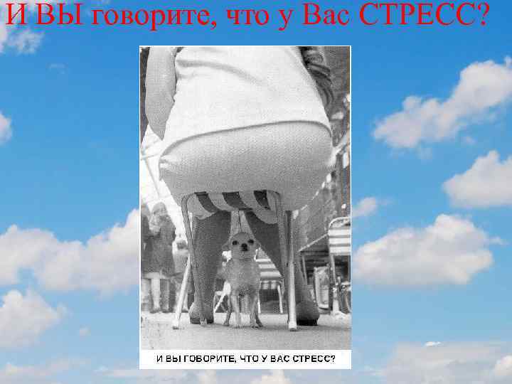 И ВЫ говорите, что у Вас СТРЕСС? 