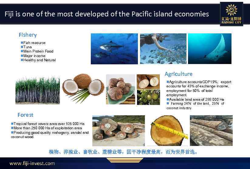 Fiji is one of the most developed of the Pacific island economies Fishery n.