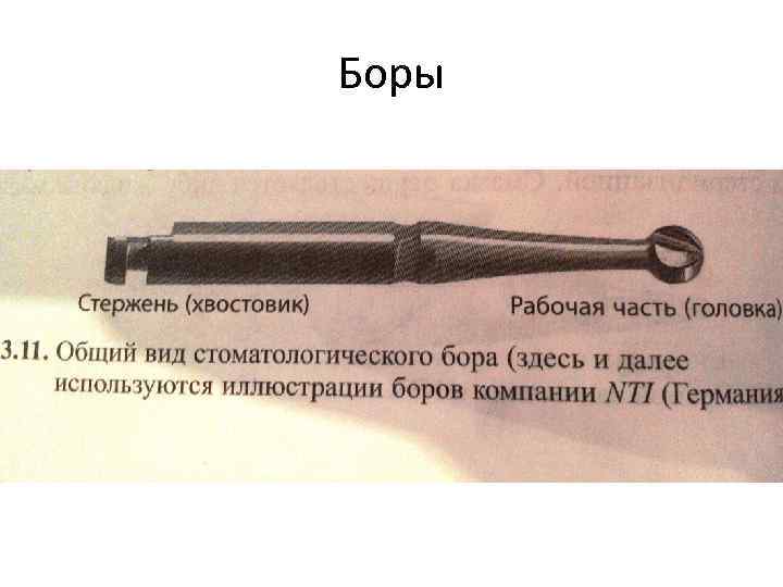 Боры 