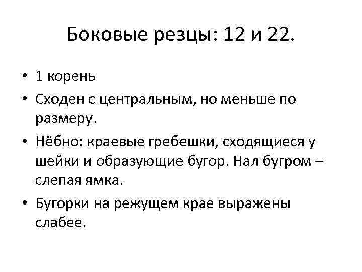 Боковые резцы: 12 и 22. • 1 корень • Сходен с центральным, но меньше