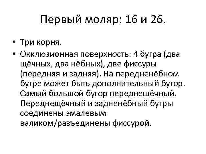 Первый моляр: 16 и 26. • Три корня. • Окклюзионная поверхность: 4 бугра (два