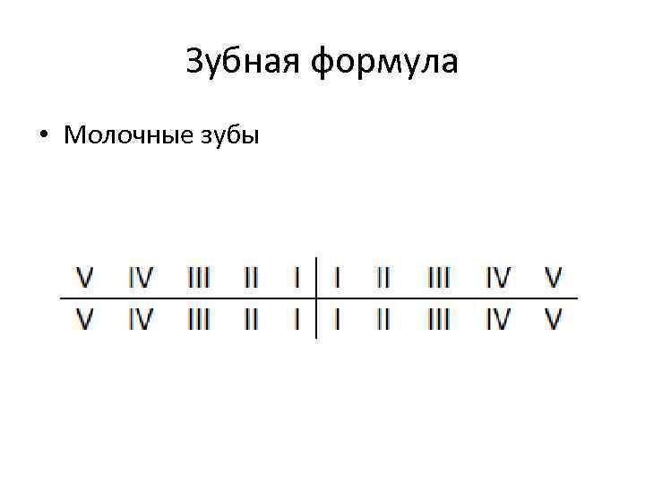 Зубная формула образец