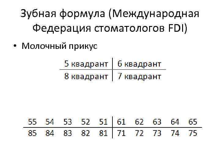 Зубная формула отзывы. Зубная формула молочного прикуса. Зубная формула в международной системе.