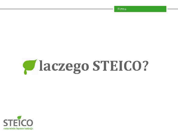Firma Dlaczego STEICO? 