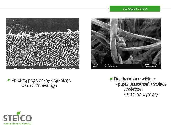 Dlaczego STEICO? Przekrój poprzeczny dojrzałego włókna drzewnego Rozdrobnione włókno - pusta przestrzeń / stojące