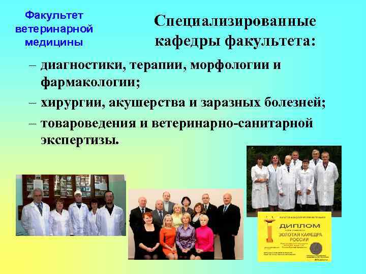 Факультет ветеринарной медицины Специализированные кафедры факультета: – диагностики, терапии, морфологии и фармакологии; – хирургии,