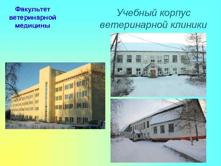 Факультет ветеринарной медицины Учебный корпус ветеринарной клиники 