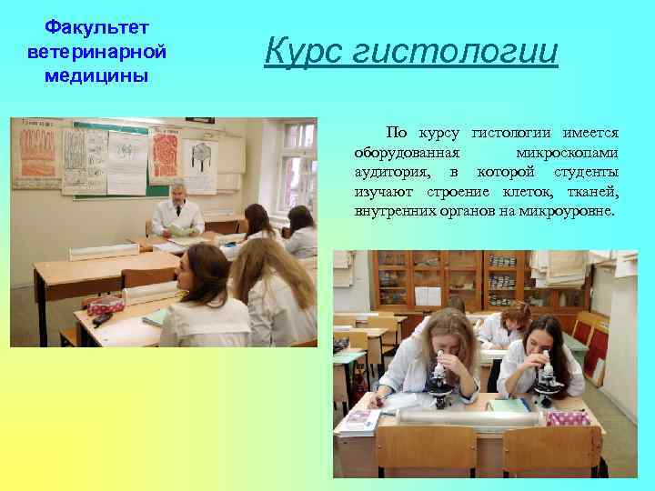 Факультет ветеринарной медицины Курс гистологии По курсу гистологии имеется оборудованная микроскопами аудитория, в которой