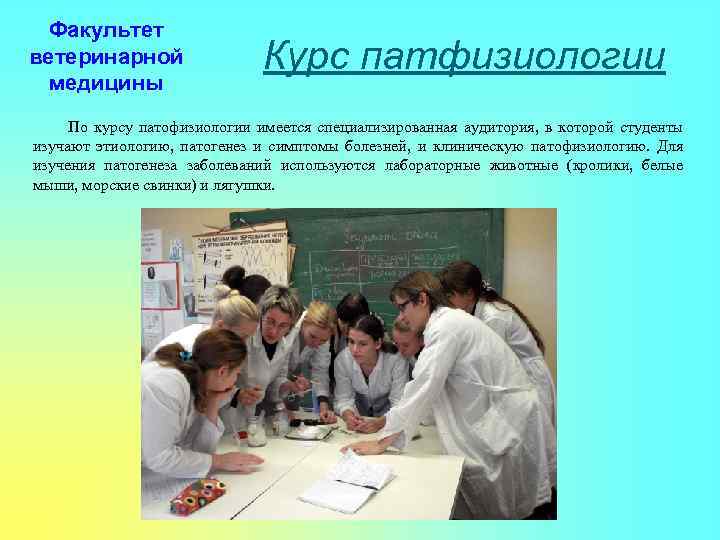 Факультет ветеринарной медицины Курс патфизиологии По курсу патофизиологии имеется специализированная аудитория, в которой студенты