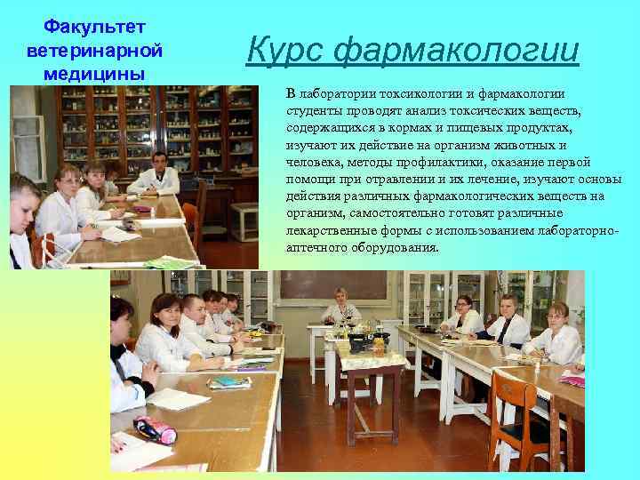 Факультет ветеринарной медицины Курс фармакологии В лаборатории токсикологии и фармакологии студенты проводят анализ токсических