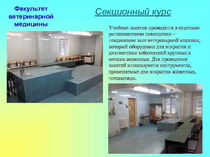 Факультет ветеринарной медицины Секционный курс Учебные занятия проводятся в отдельно расположенном помещении – секционном