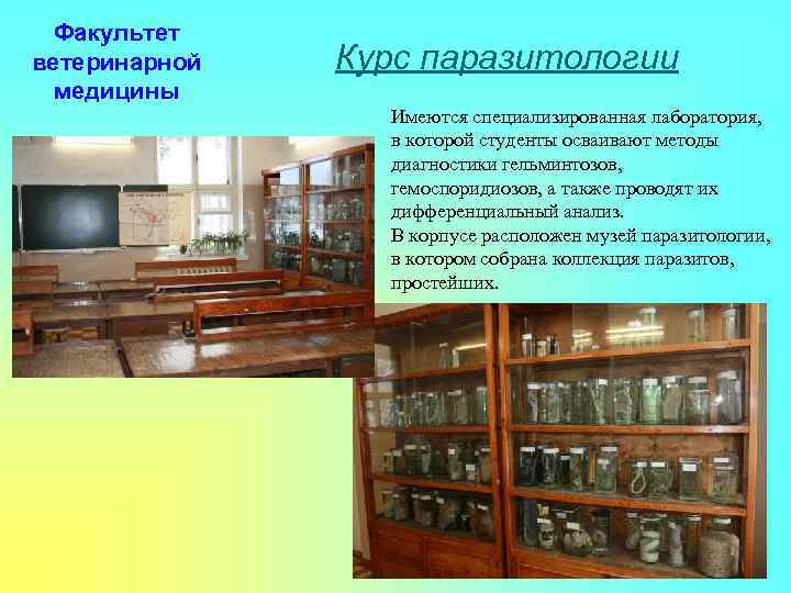 Факультет ветеринарной медицины Курс паразитологии Имеются специализированная лаборатория, в которой студенты осваивают методы диагностики