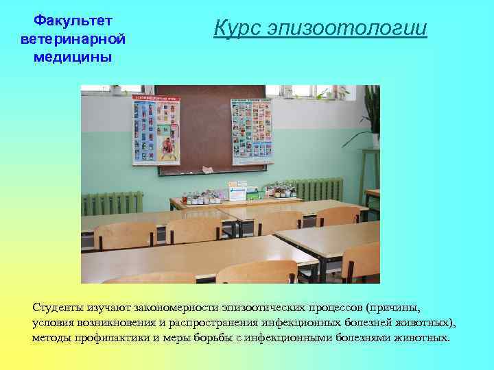 Факультет ветеринарной медицины Курс эпизоотологии Студенты изучают закономерности эпизоотических процессов (причины, условия возникновения и