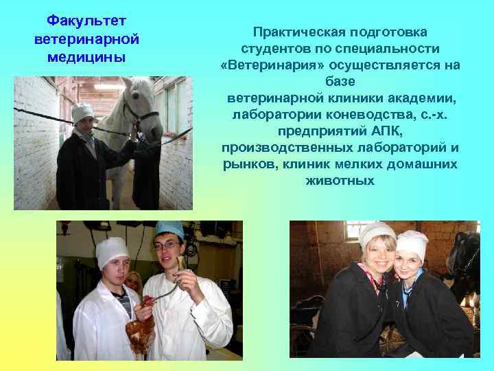 Факультет ветеринарной медицины Практическая подготовка студентов по специальности «Ветеринария» осуществляется на базе ветеринарной клиники
