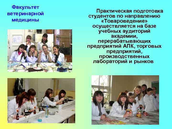 Факультет ветеринарной медицины Практическая подготовка студентов по направлению «Товароведение» осуществляется на базе учебных аудиторий