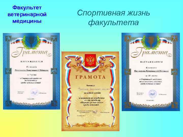 Факультет ветеринарной медицины Спортивная жизнь факультета 