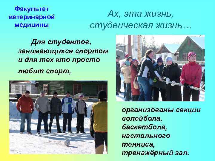 Факультет ветеринарной медицины Ах, эта жизнь, студенческая жизнь… Для студентов, занимающихся спортом и для