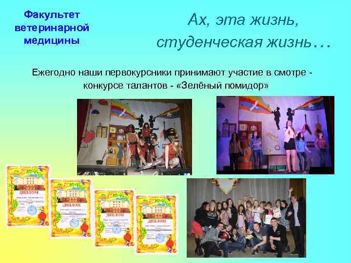Факультет ветеринарной медицины Ах, эта жизнь, студенческая жизнь… Ежегодно наши первокурсники принимают участие в