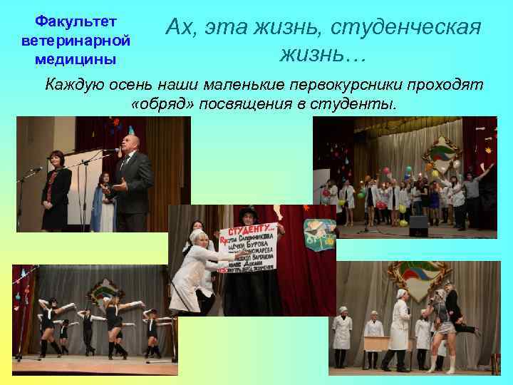 Факультет ветеринарной медицины Ах, эта жизнь, студенческая жизнь… Каждую осень наши маленькие первокурсники проходят