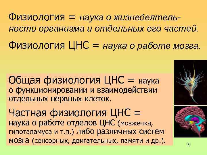 Физиология = наука о жизнедеятельности организма и отдельных его частей. Физиология ЦНС = наука