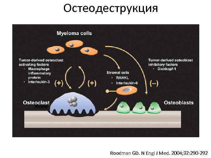 Остеодеструкция Roodman GD. N Engl J Med. 2004; 32: 290 -292 