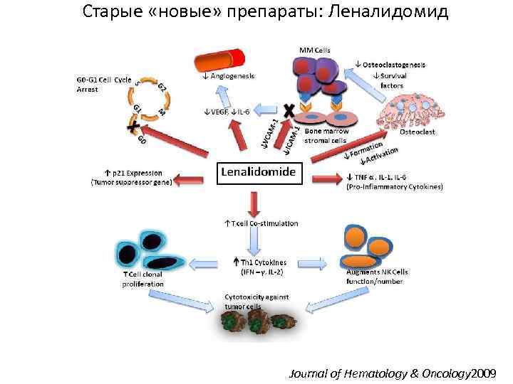 Старые «новые» препараты: Леналидомид Journal of Hematology & Oncology 2009 