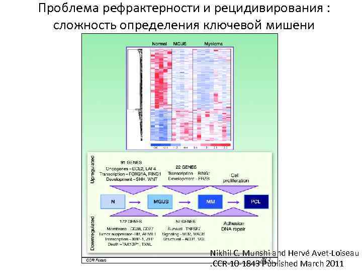 Проблема рефрактерности и рецидивирования : сложность определения ключевой мишени Nikhil C. Munshi and Hervé