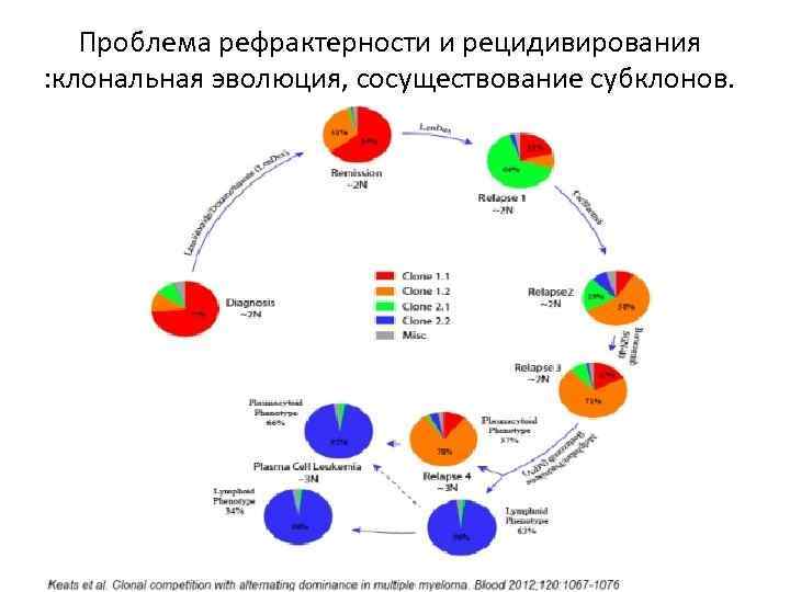 Проблема рефрактерности и рецидивирования : клональная эволюция, сосуществование субклонов. 