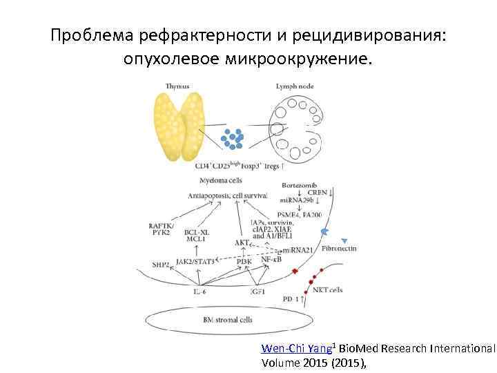 Проблема рефрактерности и рецидивирования: опухолевое микроокружение. Wen-Chi Yang 1 Bio. Med Research International Volume