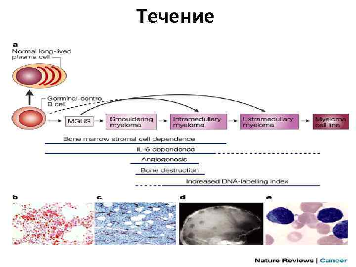 Течение 