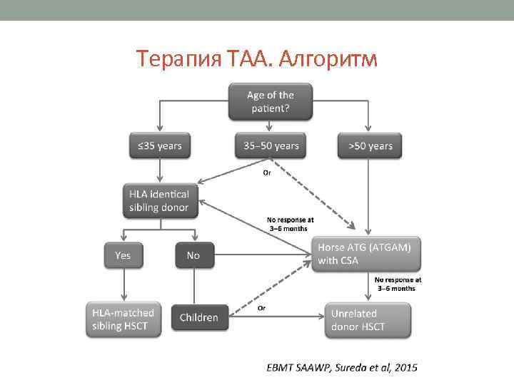 Терапия ТАА. Алгоритм 