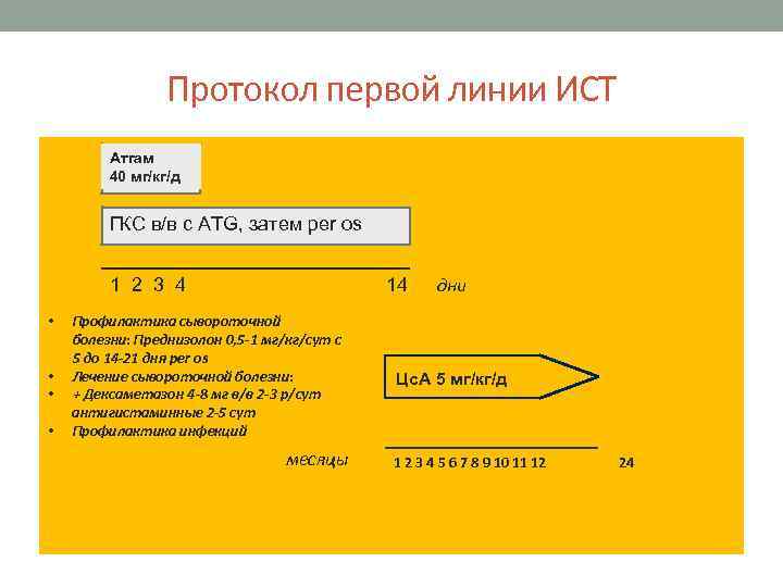 Протокол первой линии ИСТ Атгам 40 мг/кг/д ГКС в/в с ATG, затем per os