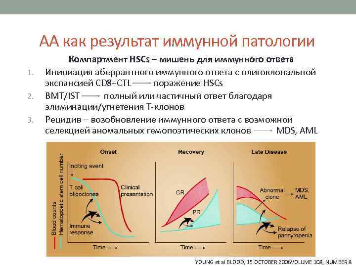 АА как результат иммунной патологии 1. 2. 3. Компартмент HSCs – мишень для иммунного