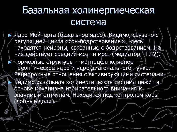 Базальная холинергиеческая система Ядро Мейнерта (базальное ядро). Видимо, связано с регуляцией цикла «сон-бодрствование» .
