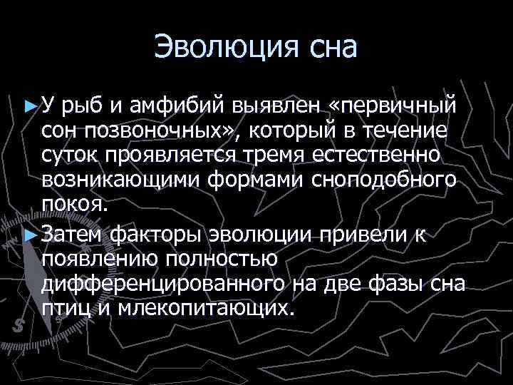 Эволюция сна ► У рыб и амфибий выявлен «первичный сон позвоночных» , который в
